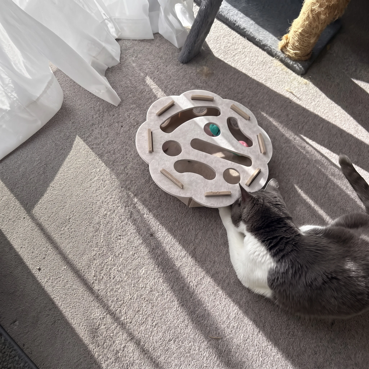 Nærfoto av aktiviseringsleke for katt i beige farge med to fargerike kuler inni leken som katten vil prøve å nå i et oppholdsrom.